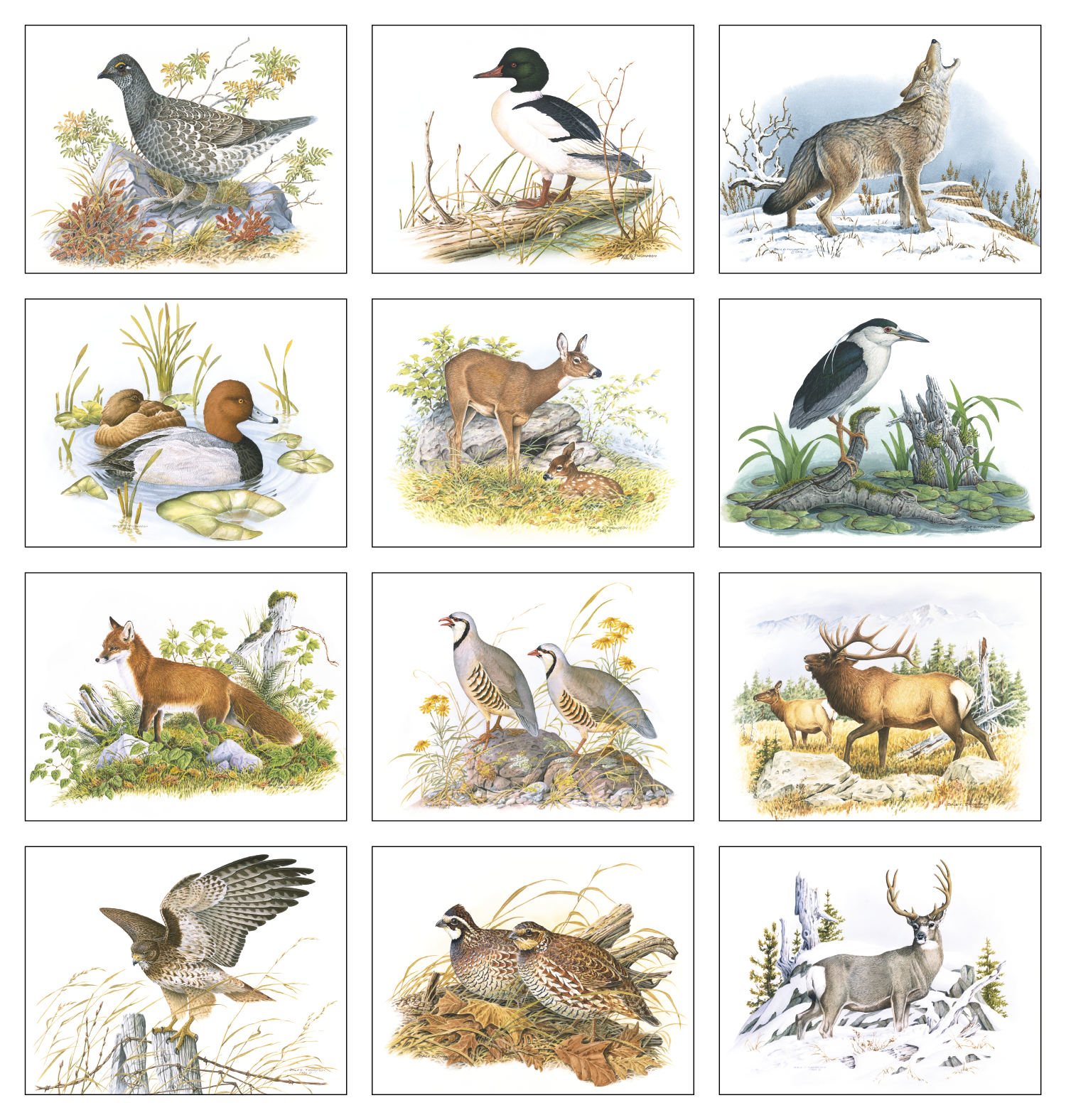 Wildlife Trek Stapled Calendar Product Image