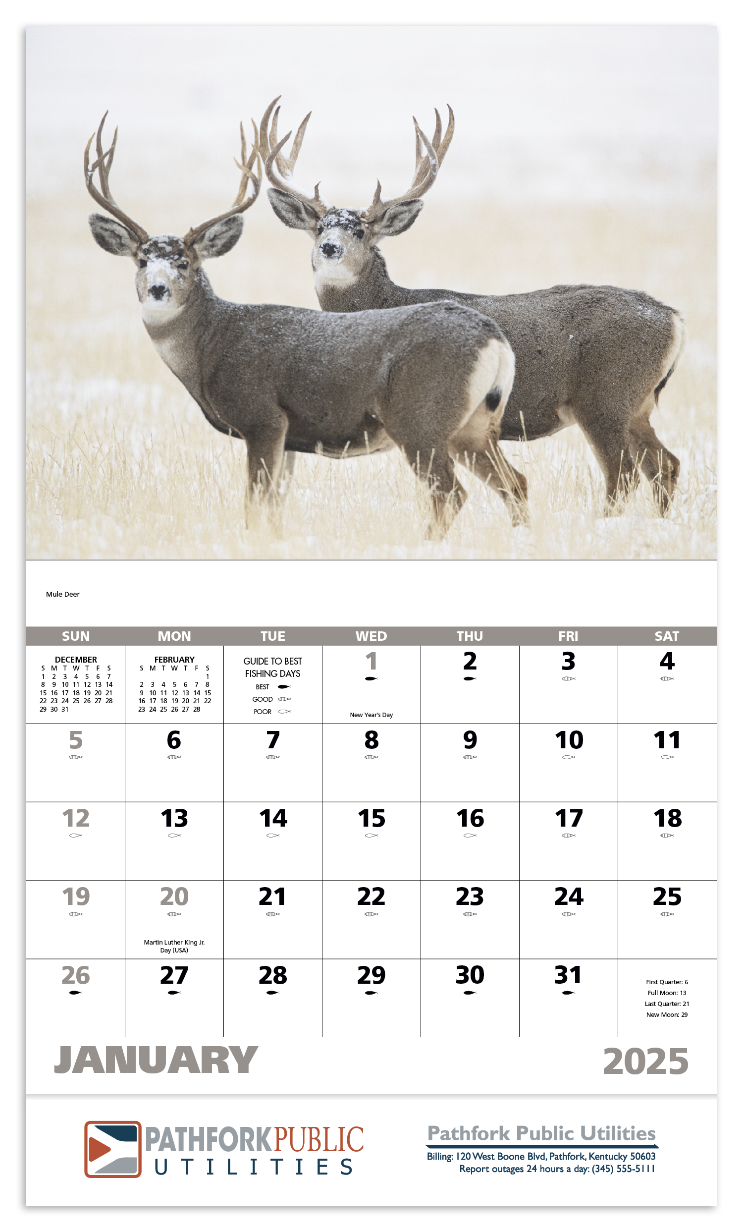 Wildlife Portraits Stapled Calendar Product Image