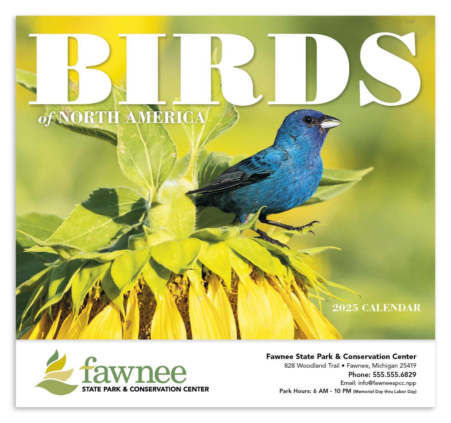 Birds of North America Stapled Calendar Product Image