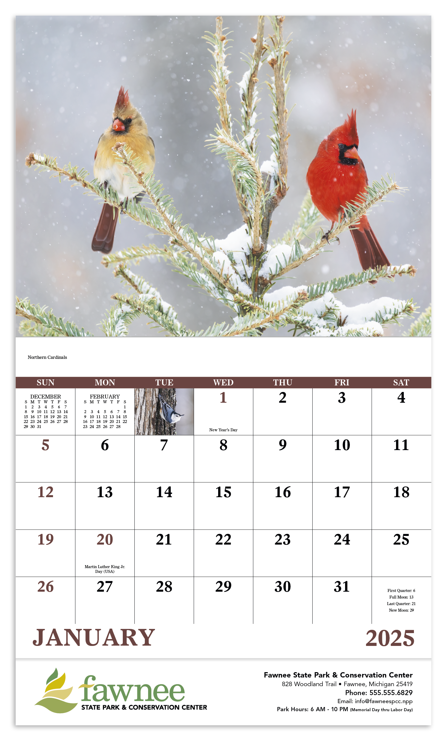 Birds of North America Stapled Calendar Product Image