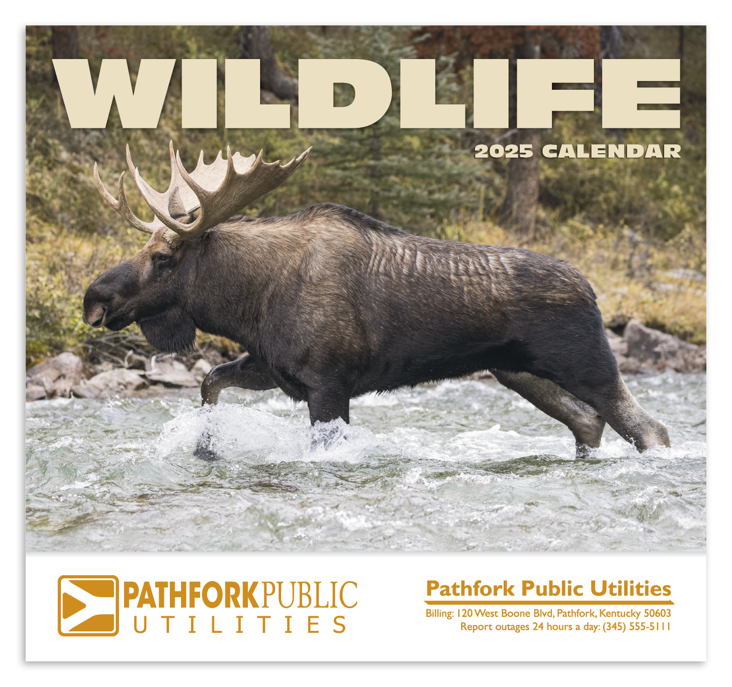 Wildlife Appointment Calendar Product Image