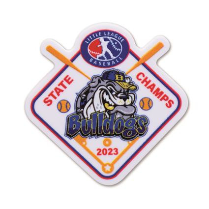 Full Color Acrylic Lapel Pin Product Image