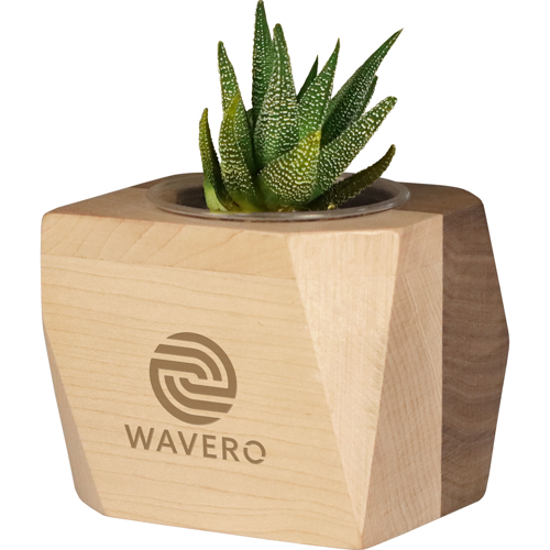 Geometric Wooden Planter with Succulent Product Image