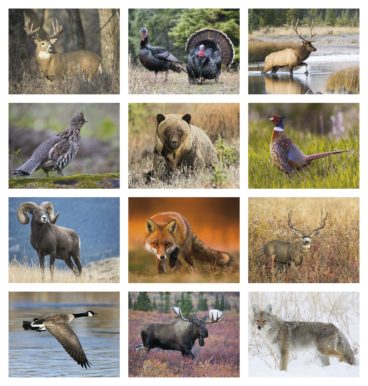 Great Lakes Sportsman Calendar Product Image
