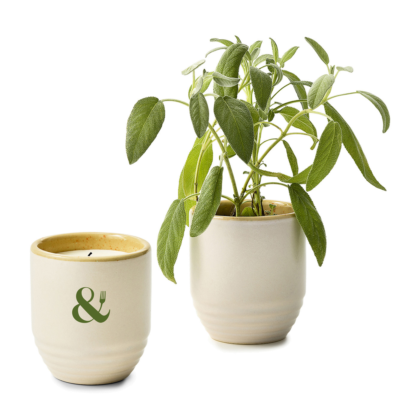 Modern Sprout® Garden Vibes Candle & Planter Product Image