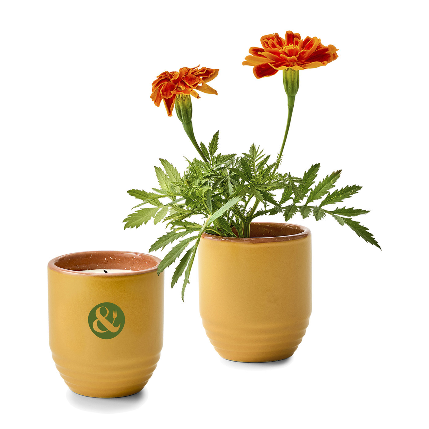 Modern Sprout® Garden Vibes Candle & Planter Product Image