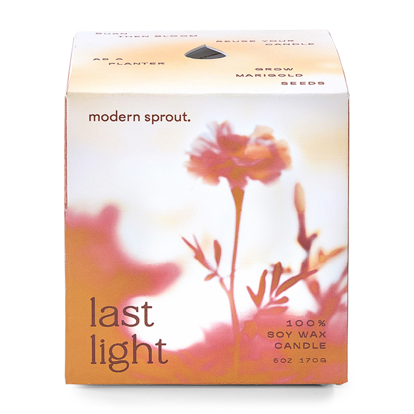 Modern Sprout® Garden Vibes Candle & Planter Product Image