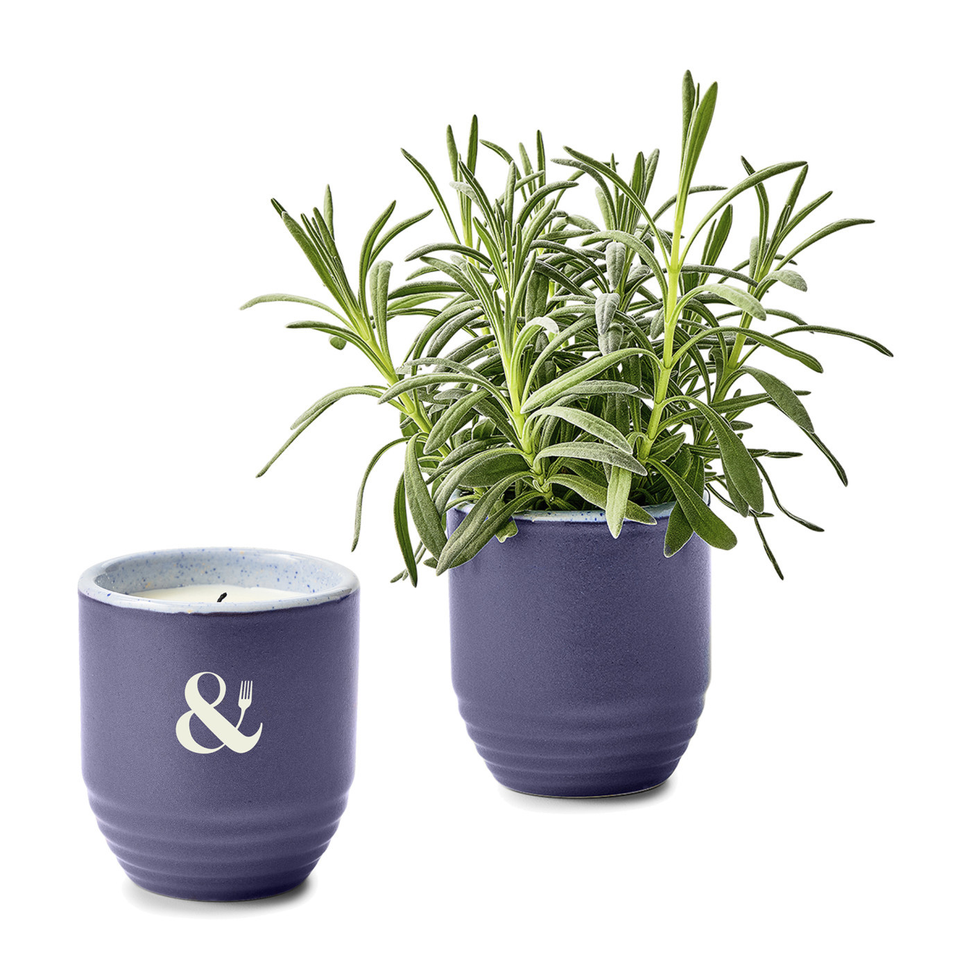 Modern Sprout® Garden Vibes Candle & Planter Product Image