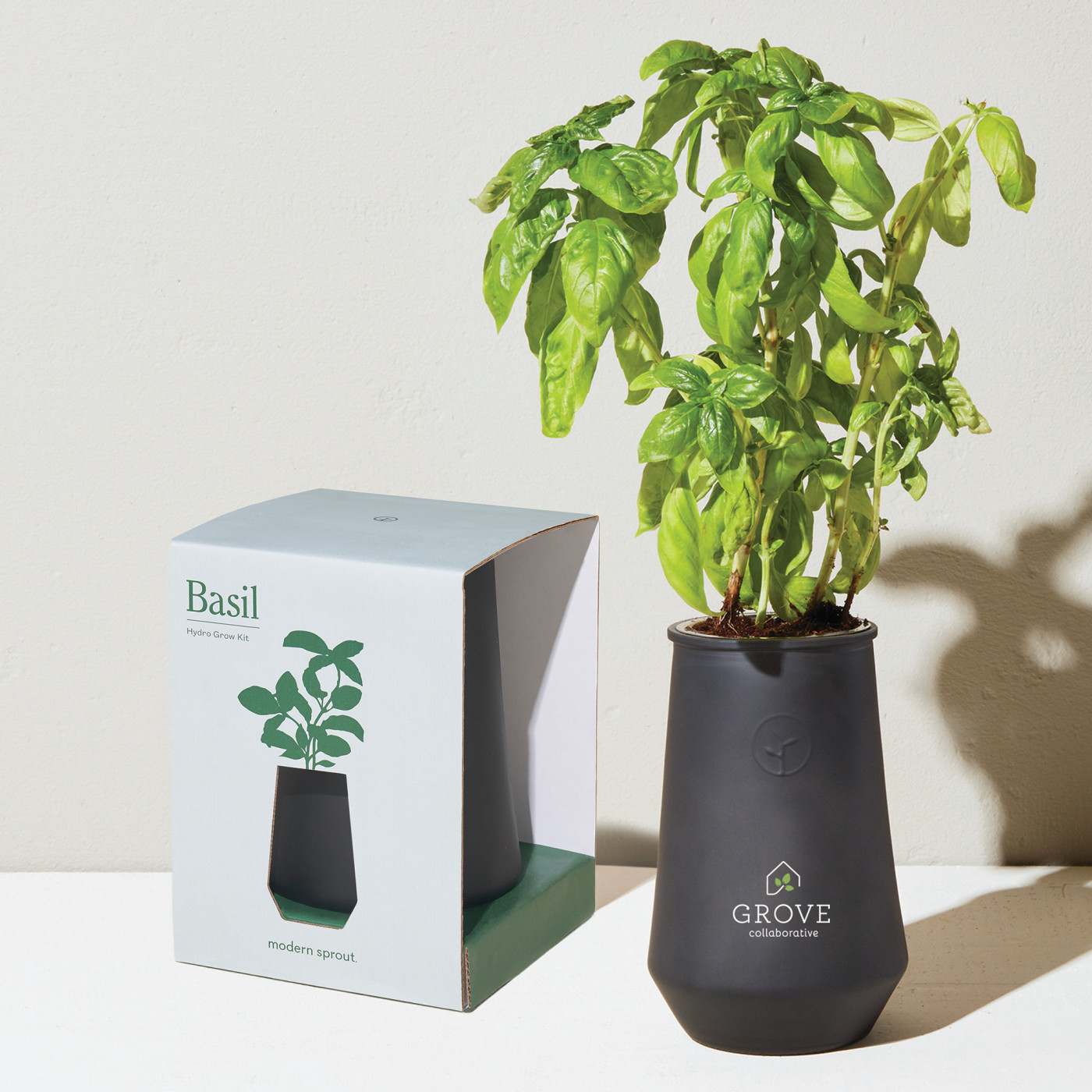 Modern Sprout® Tapered Tumbler Grow Kit Product Image