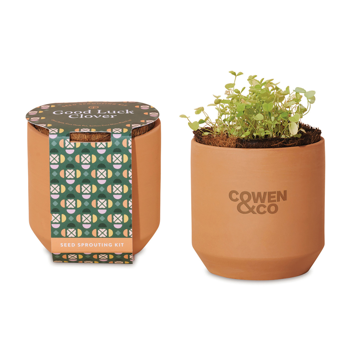 Modern Sprout® Tiny Terracotta Grow Kit Good Luck Clover Product Image