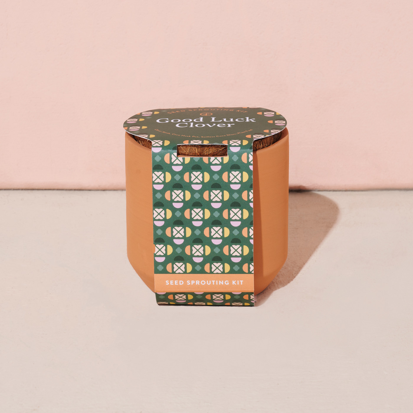 Modern Sprout® Tiny Terracotta Grow Kit Good Luck Clover Product Image