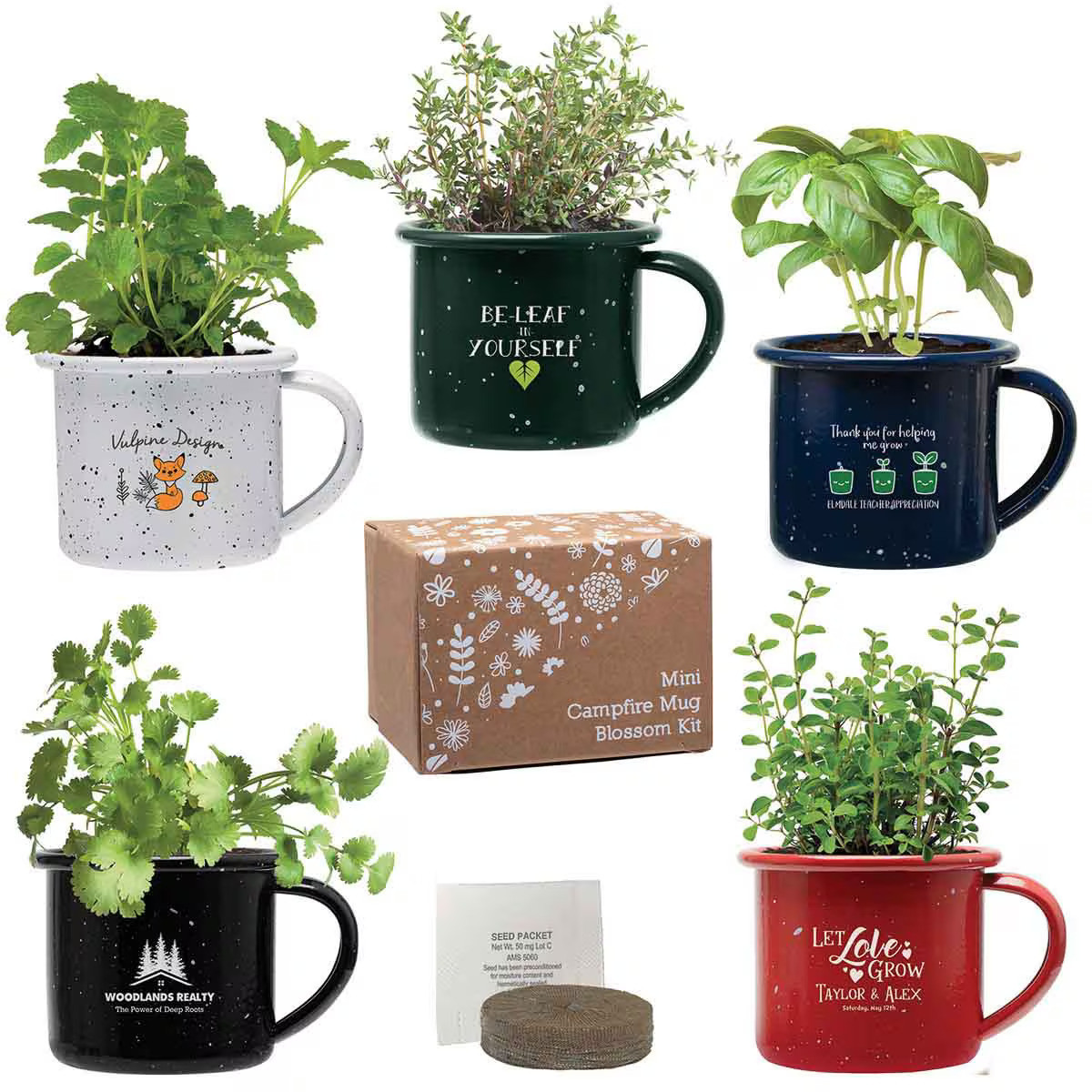 Mini Campfire Mug Blossom Kit Product Image