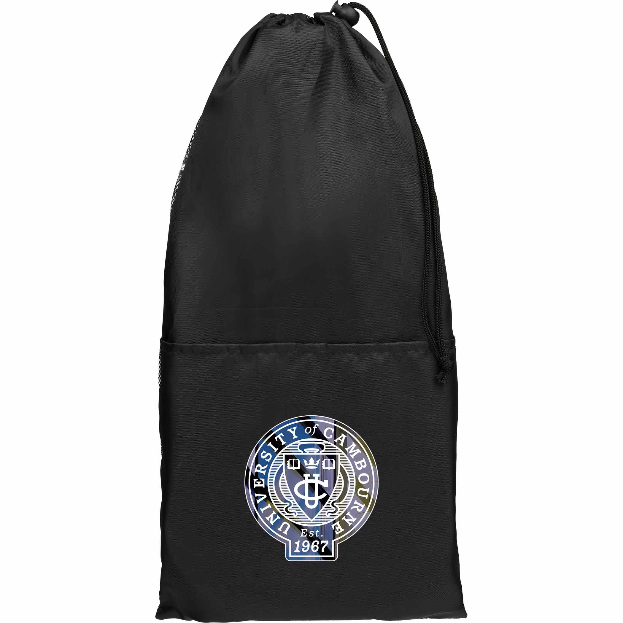 Premium Pickleball Paddle and Ball Set Product Image