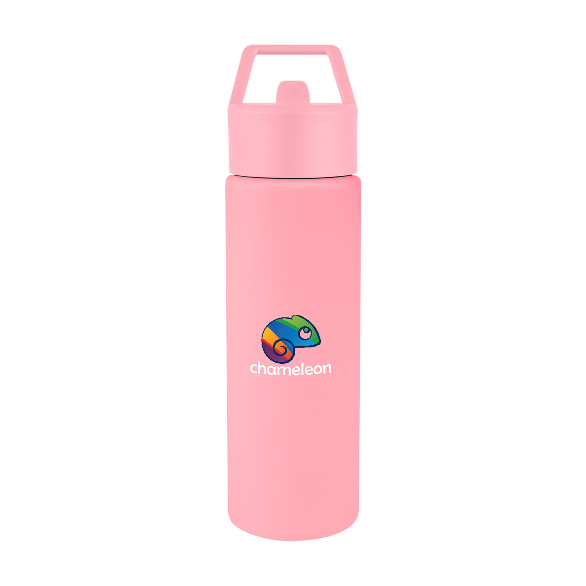 Torrey Recycled Stainless Steel Bottle - 24 Oz. Product Image