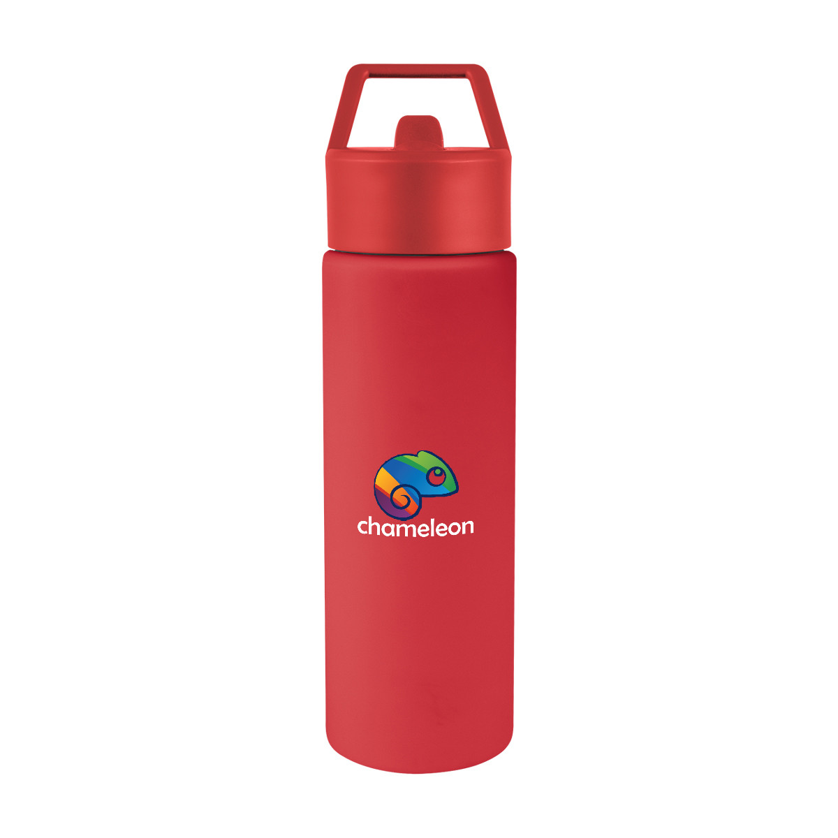 Torrey Recycled Stainless Steel Bottle - 24 Oz. Product Image