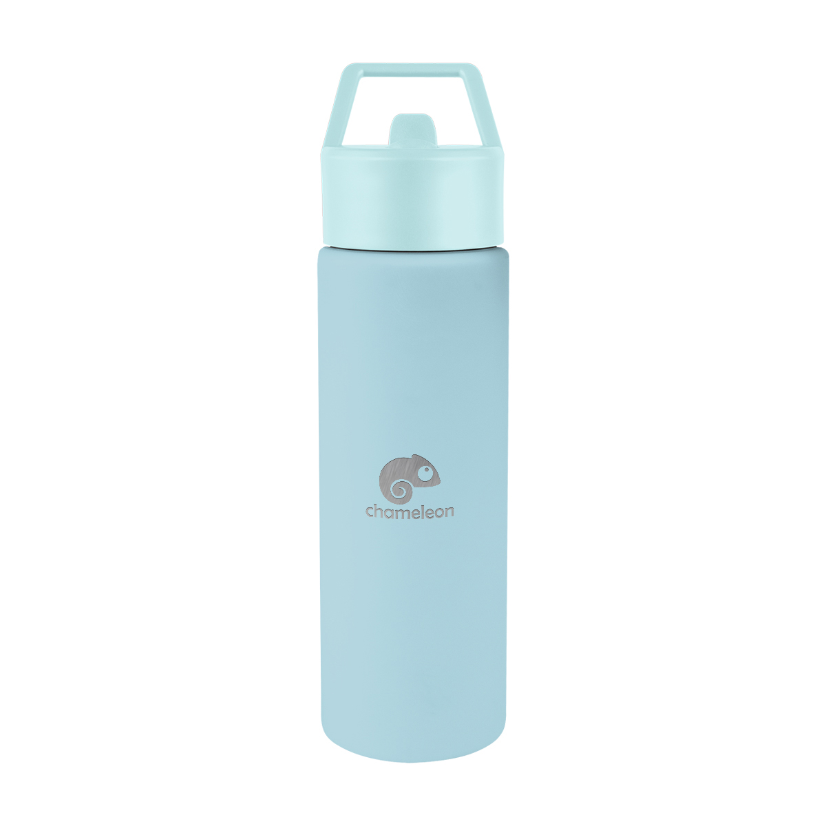 Torrey Recycled Stainless Steel Bottle - 24 Oz. Product Image