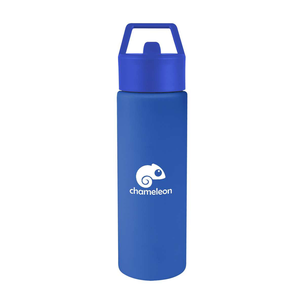Torrey Recycled Stainless Steel Bottle - 24 Oz. Product Image