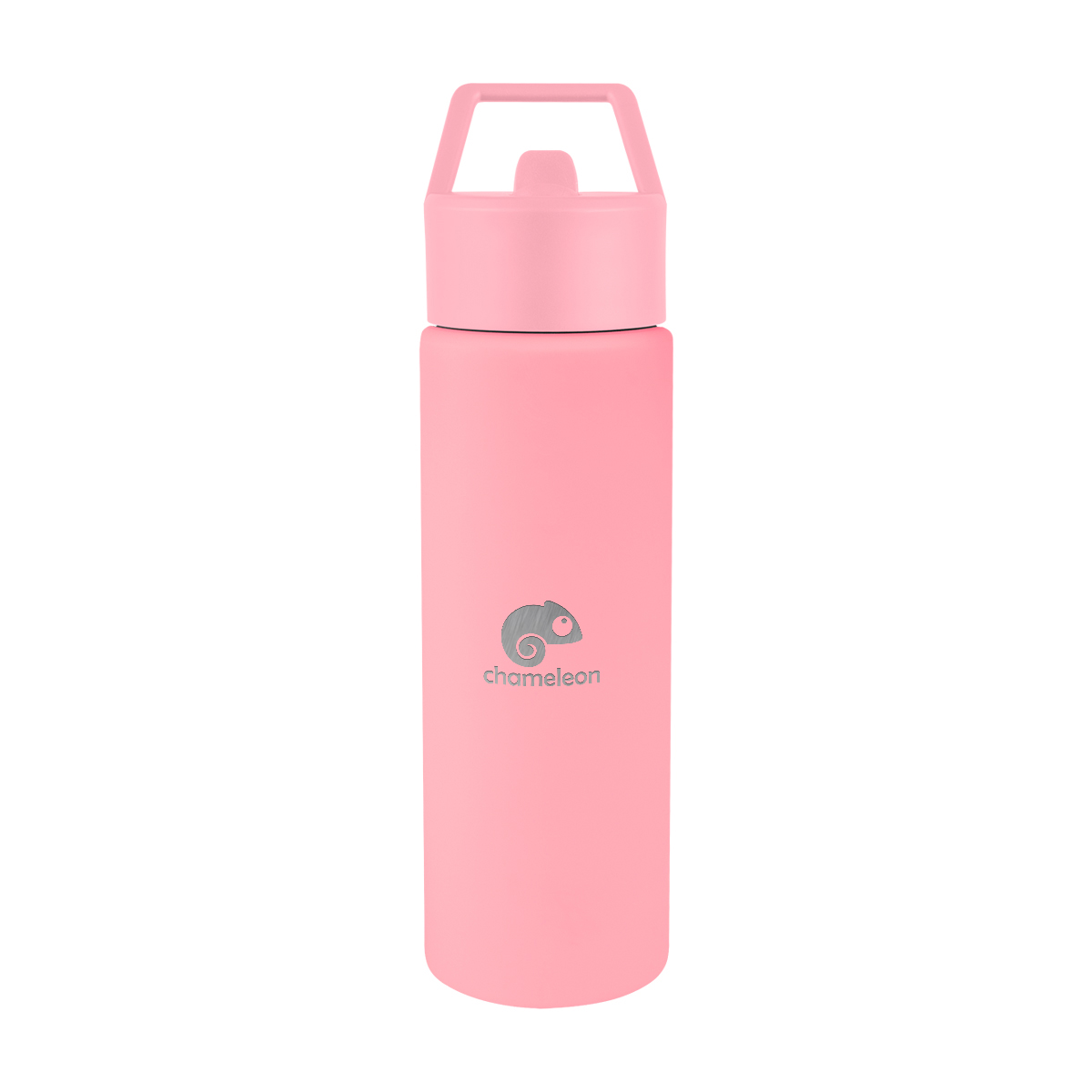 Torrey Recycled Stainless Steel Bottle - 24 Oz. Product Image
