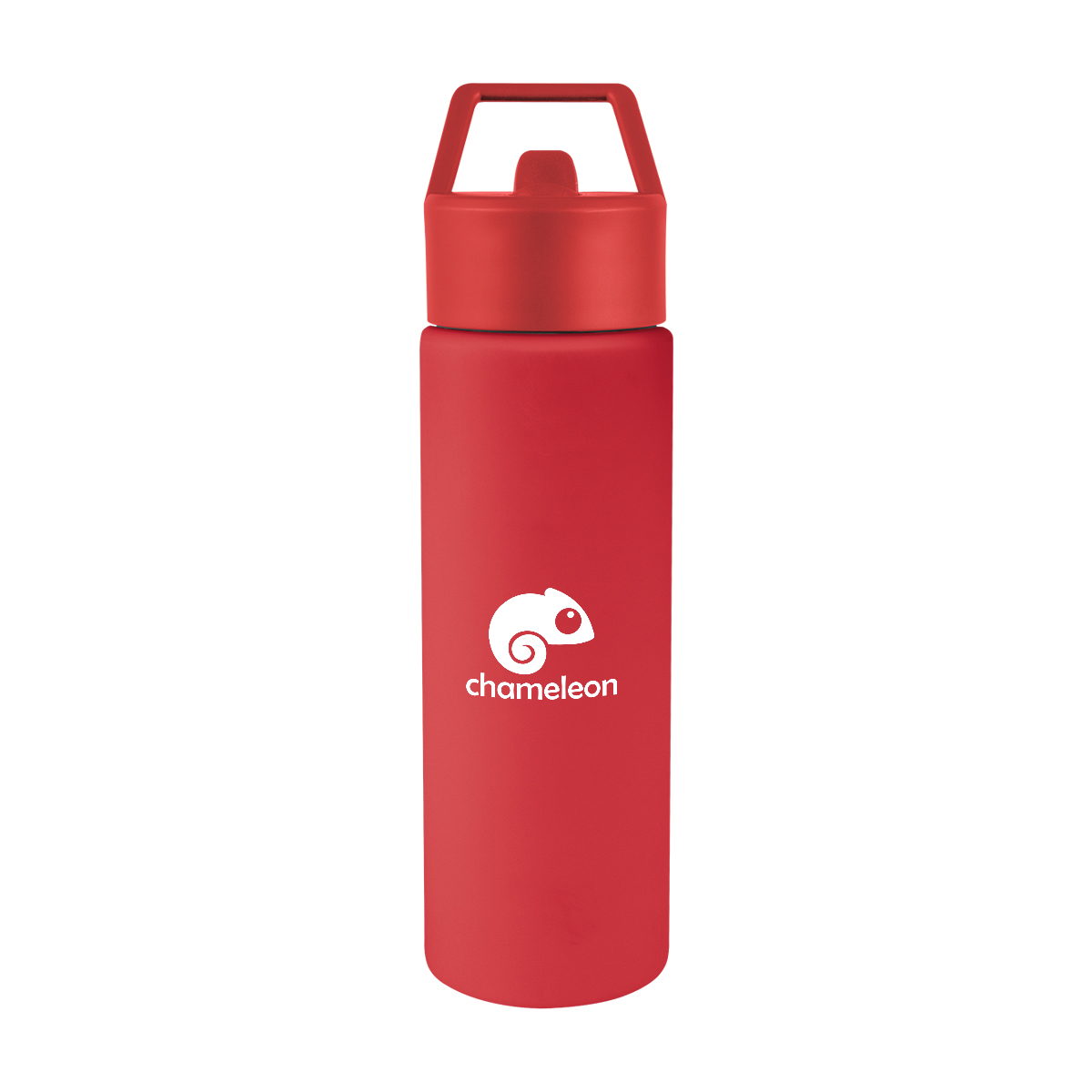 Torrey Recycled Stainless Steel Bottle - 24 Oz. Product Image