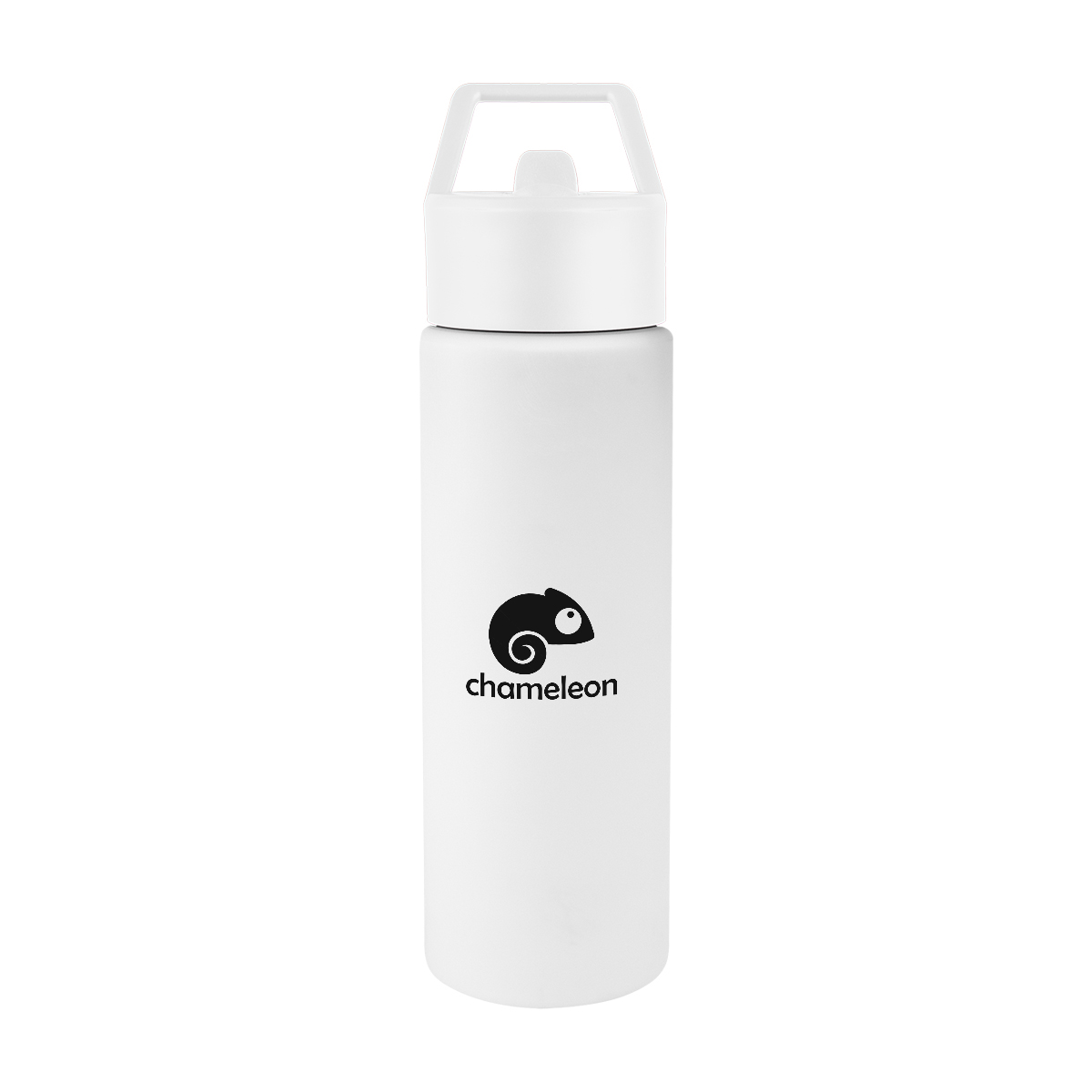 Torrey Recycled Stainless Steel Bottle - 24 Oz. Product Image