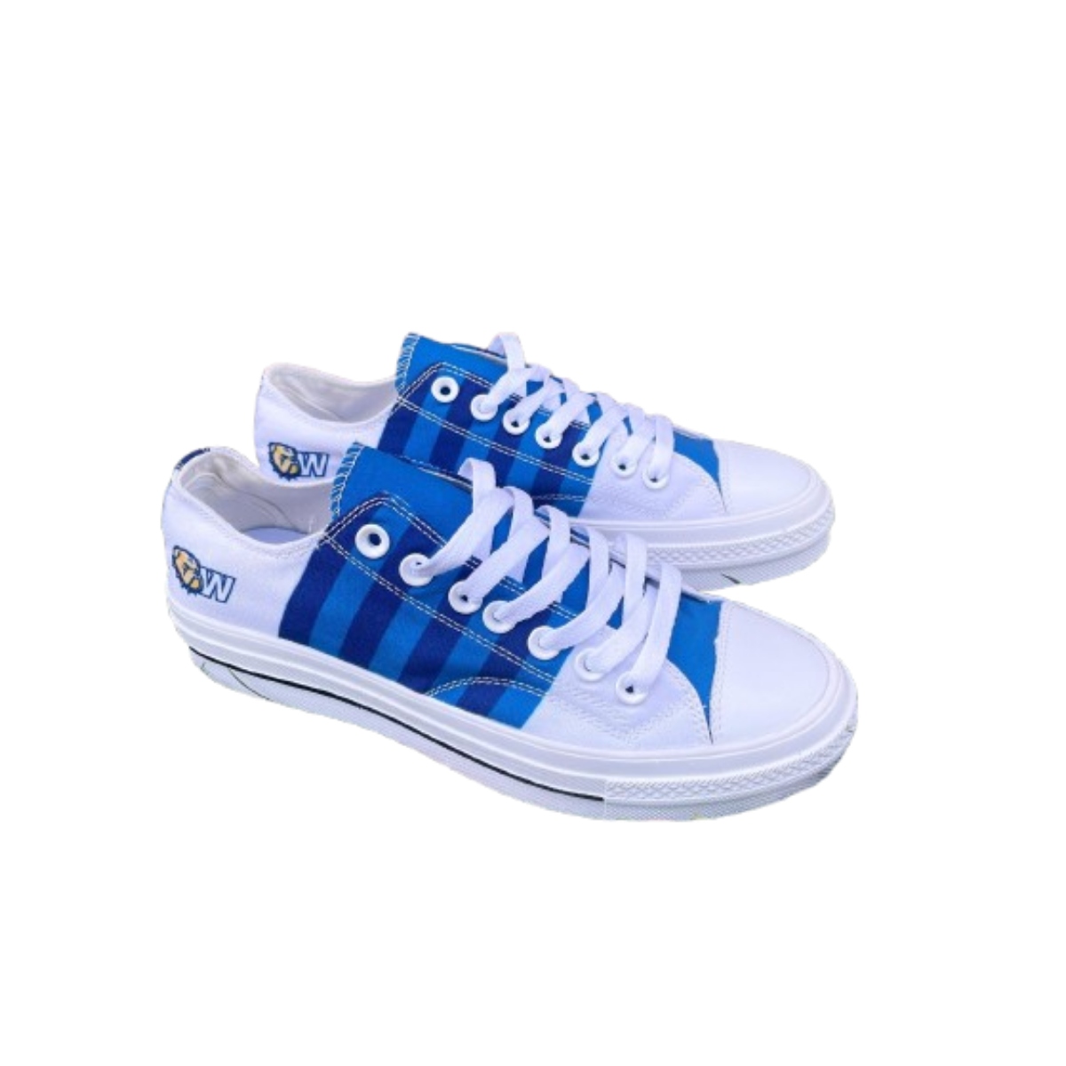 Custom Scoots Shoe Product Image