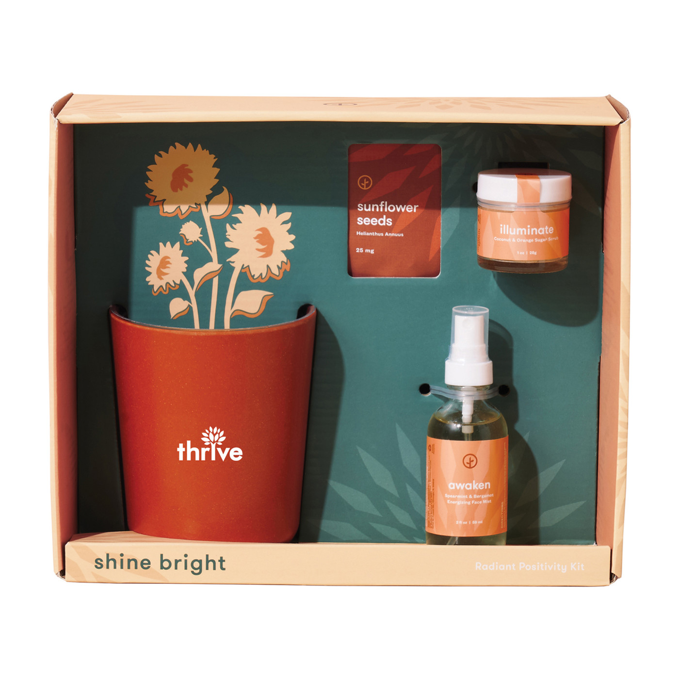 Modern Sprout® Shine Bright Take Care Kit - Sunflower Product Image