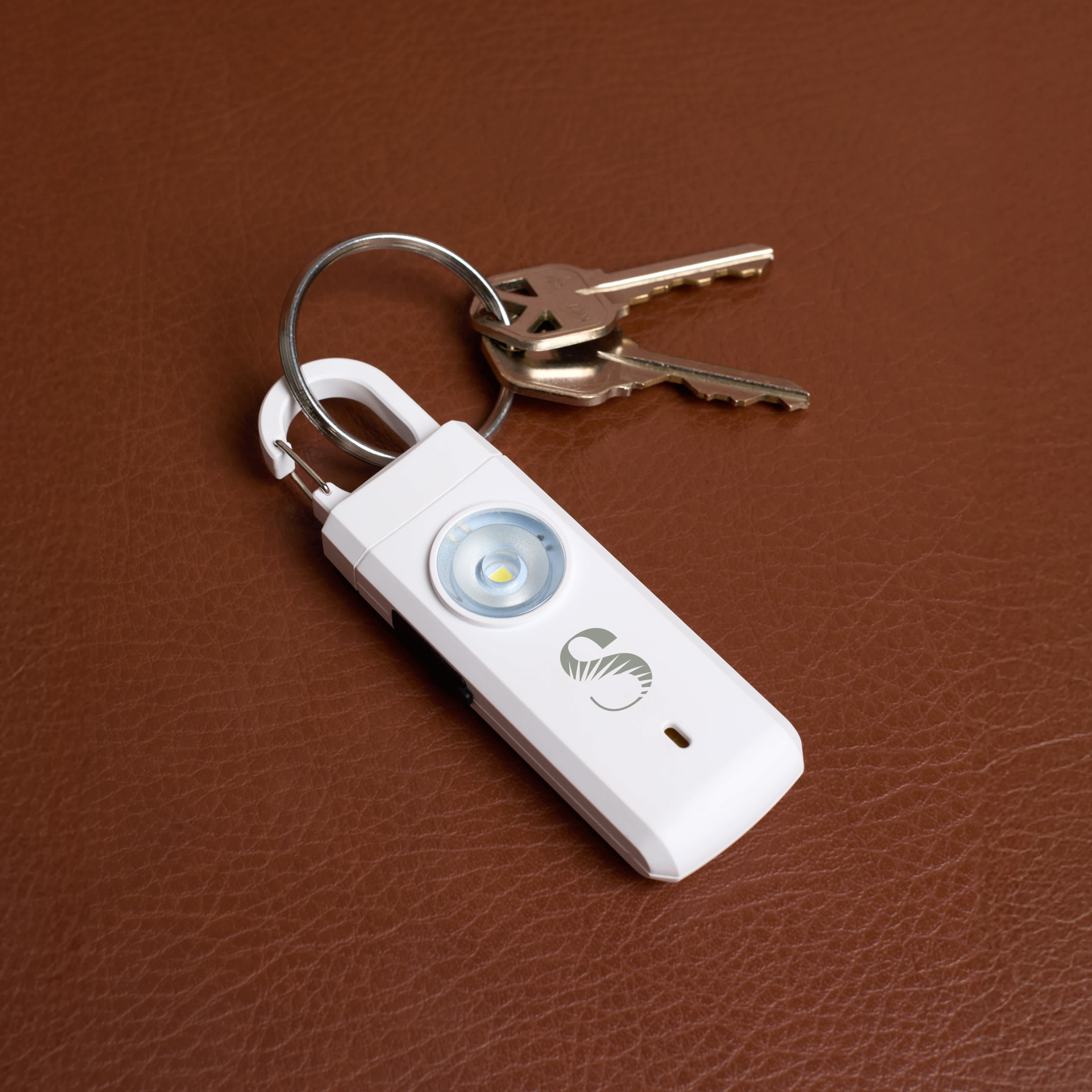 Safety Alarm Keychain Product Image