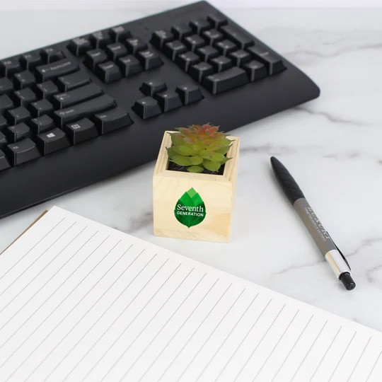 Wooden Planter with Artificial Succulent Product Image