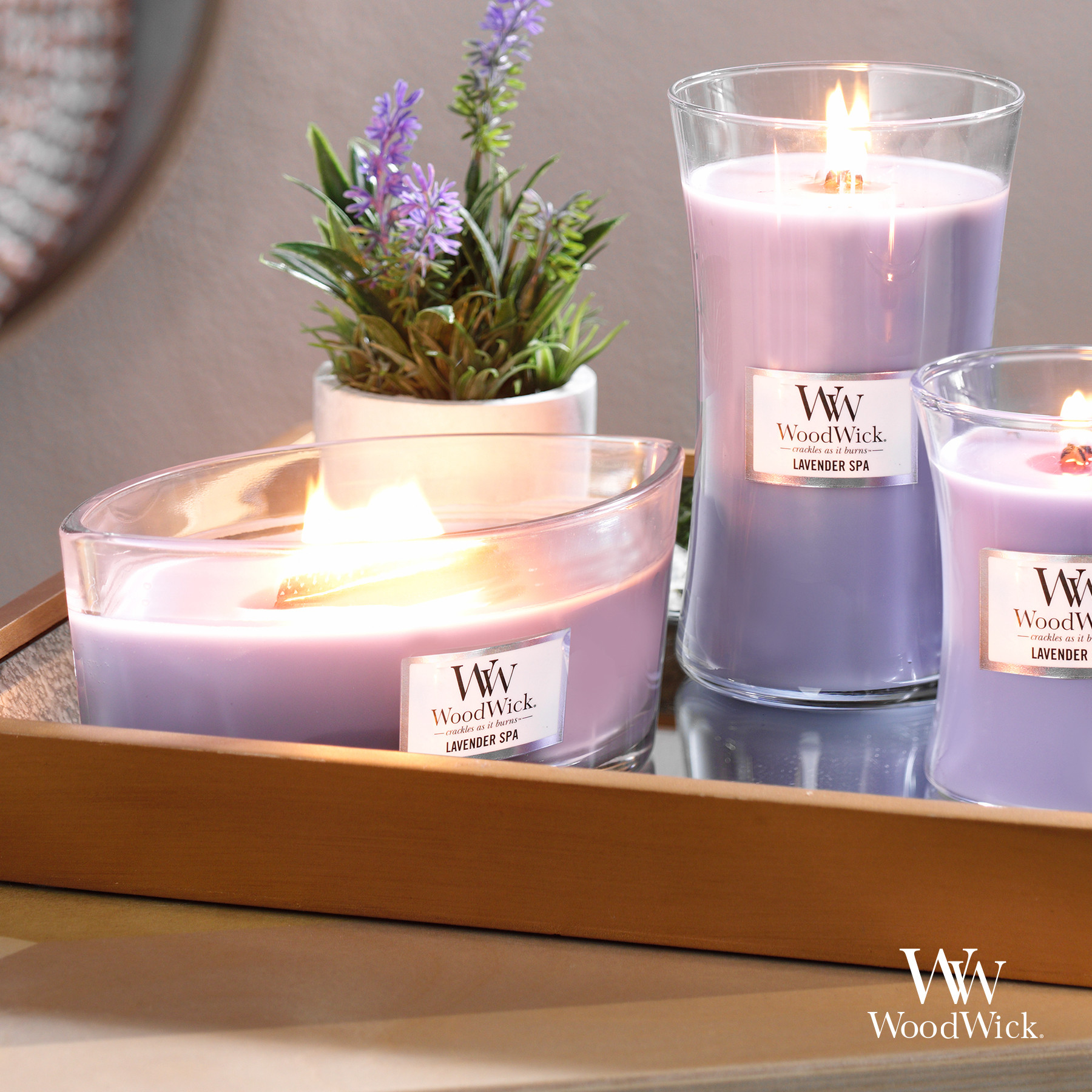 Woodwick® Ellipse Candle - 16 oz. Product Image