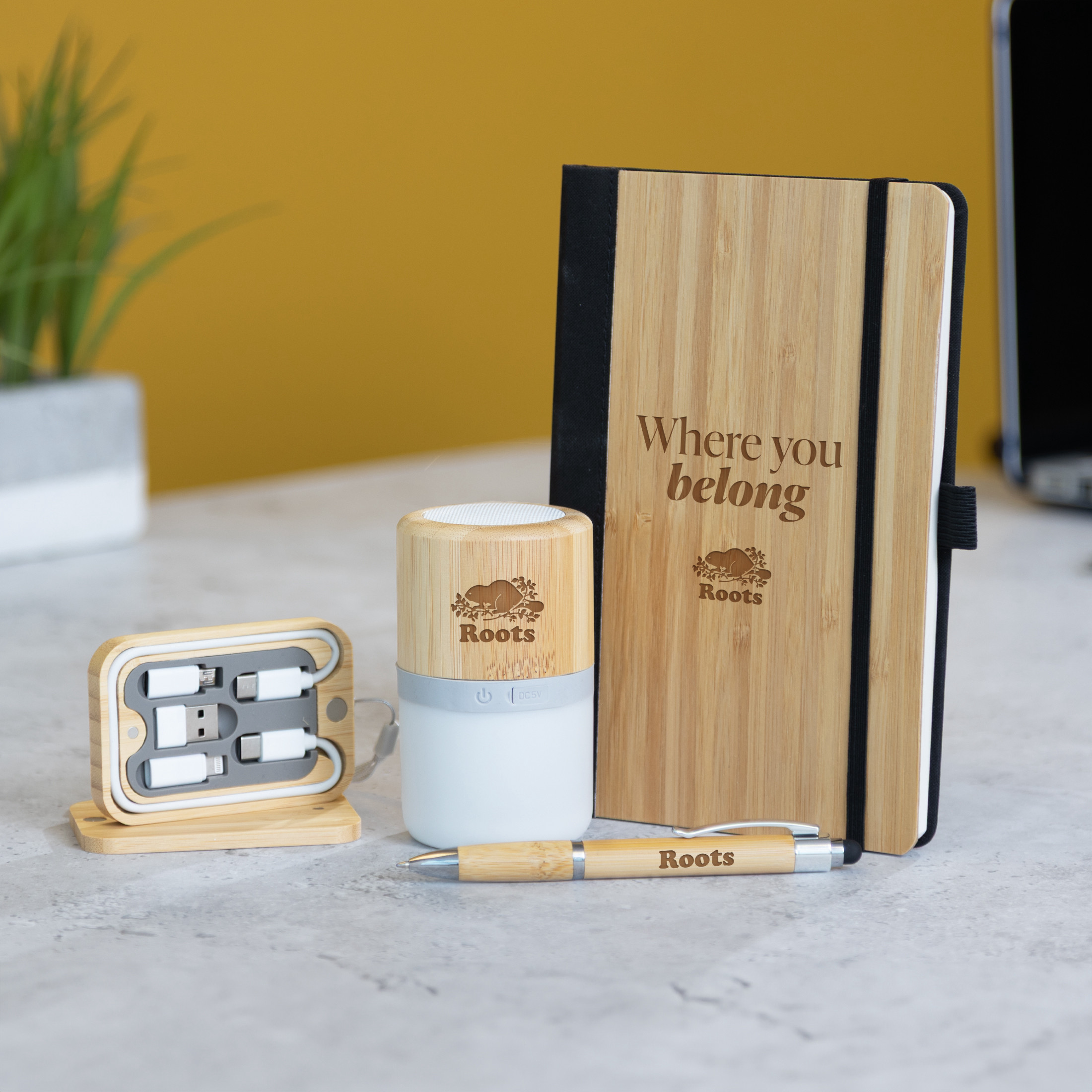 Sustainable Sync Onboarding Set Product Image