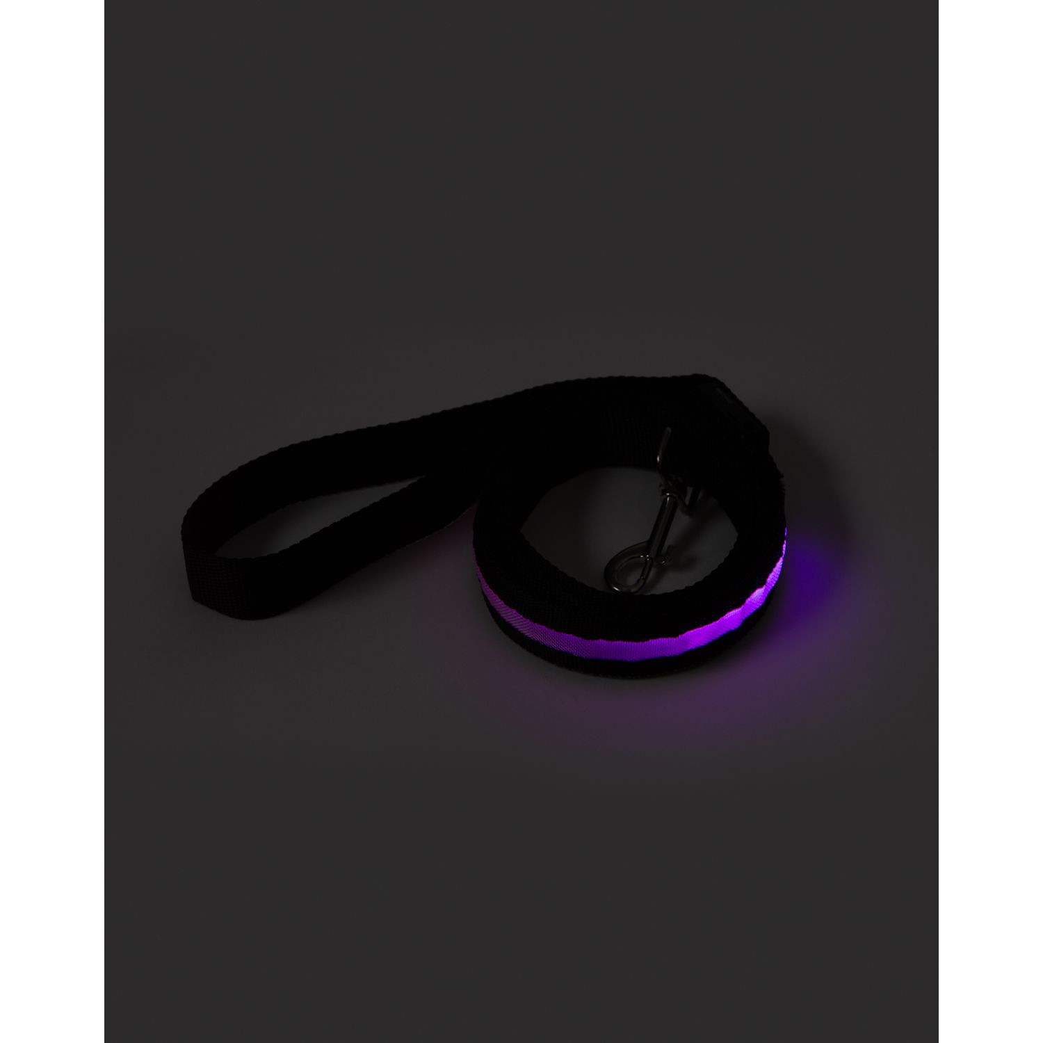 Rechargeable LED Light-Up Dog Leash Product Image