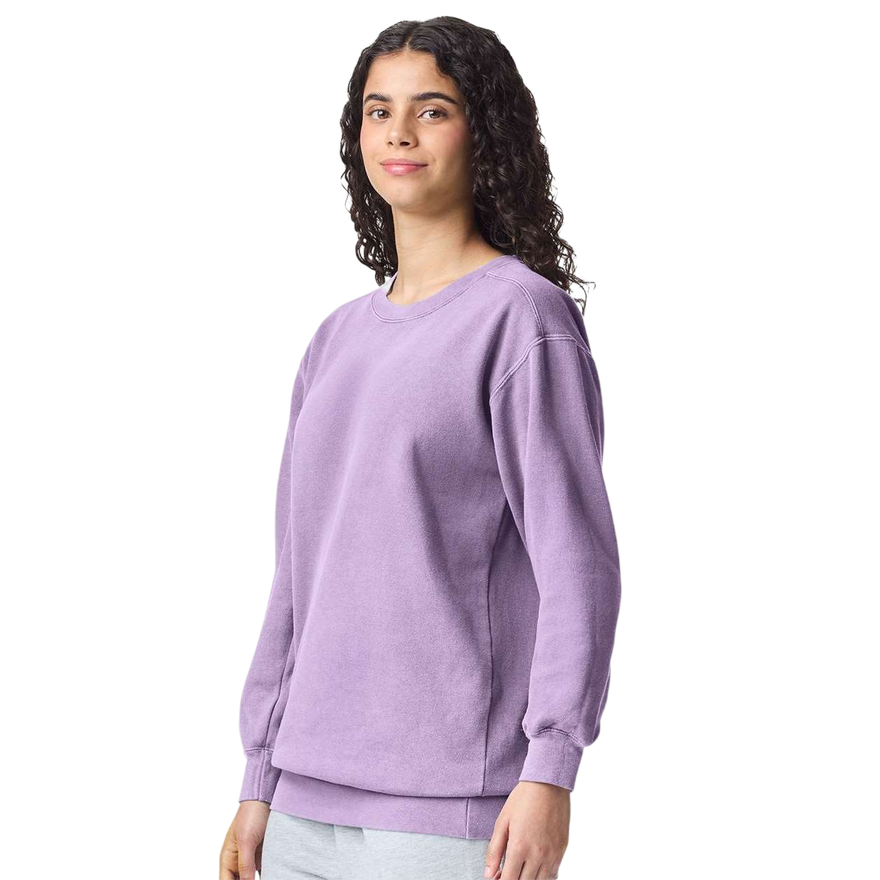 Comfort Colors Unisex Garment-Dyed Crewneck Sweatshirt Product Image