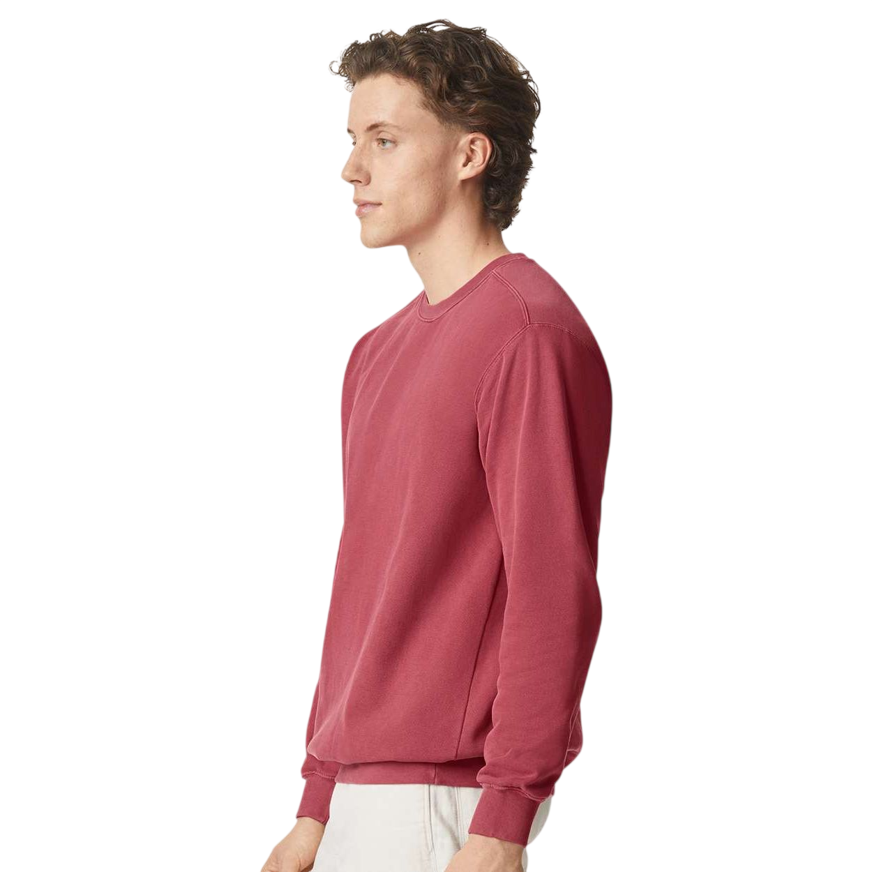 Comfort Colors Unisex Garment-Dyed Crewneck Sweatshirt Product Image