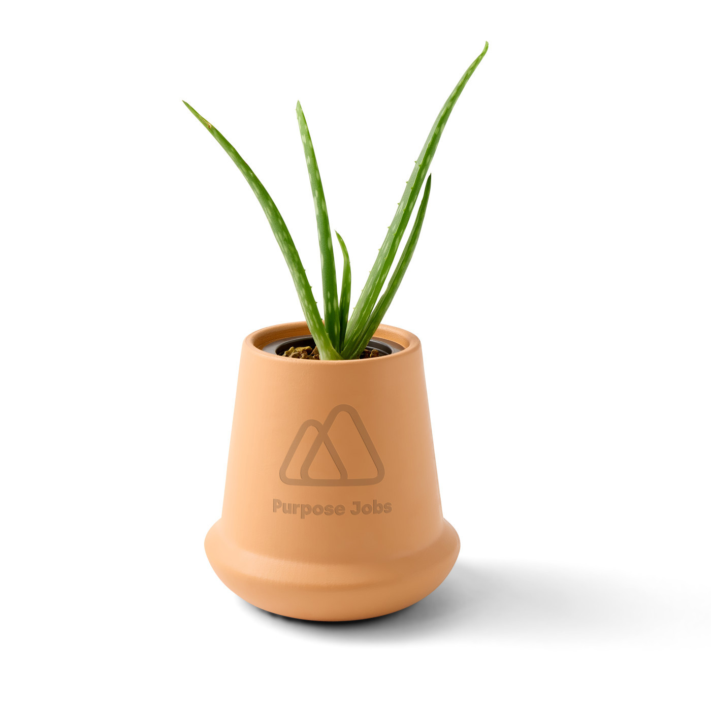 Modern Sprout® Modern Terracotta Aloe Grow Kit Product Image