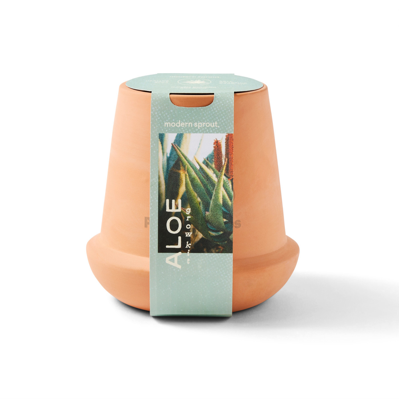 Modern Sprout® Modern Terracotta Aloe Grow Kit Product Image