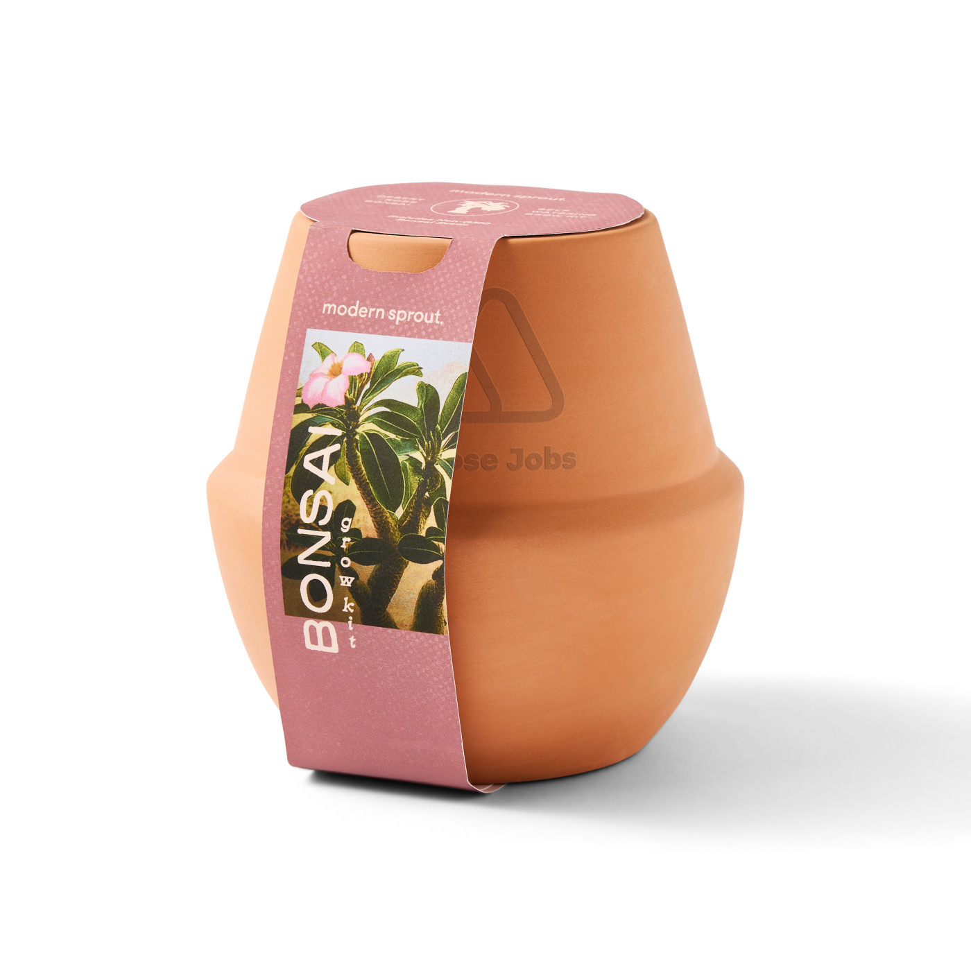 Modern Sprout® Modern Terracotta Bonsai Grow Kit Product Image