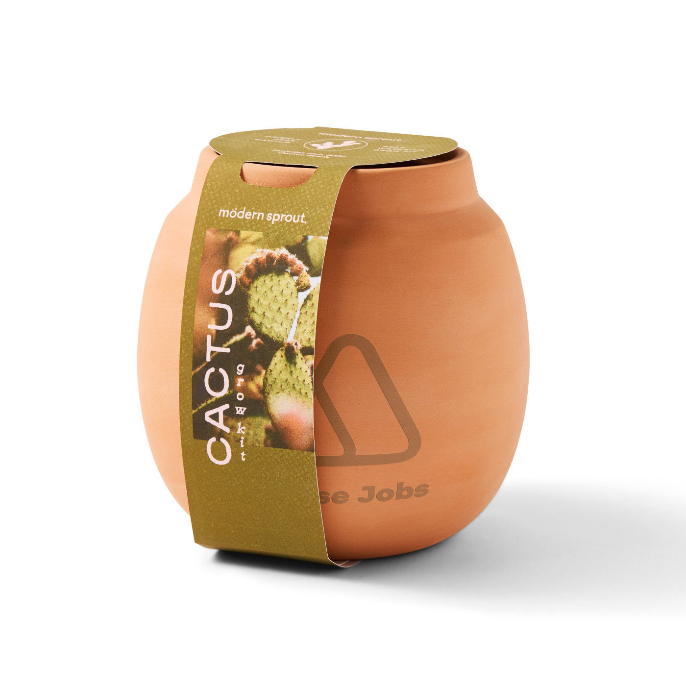 Modern Sprout® Modern Terracotta Cactus Grow Kit Product Image