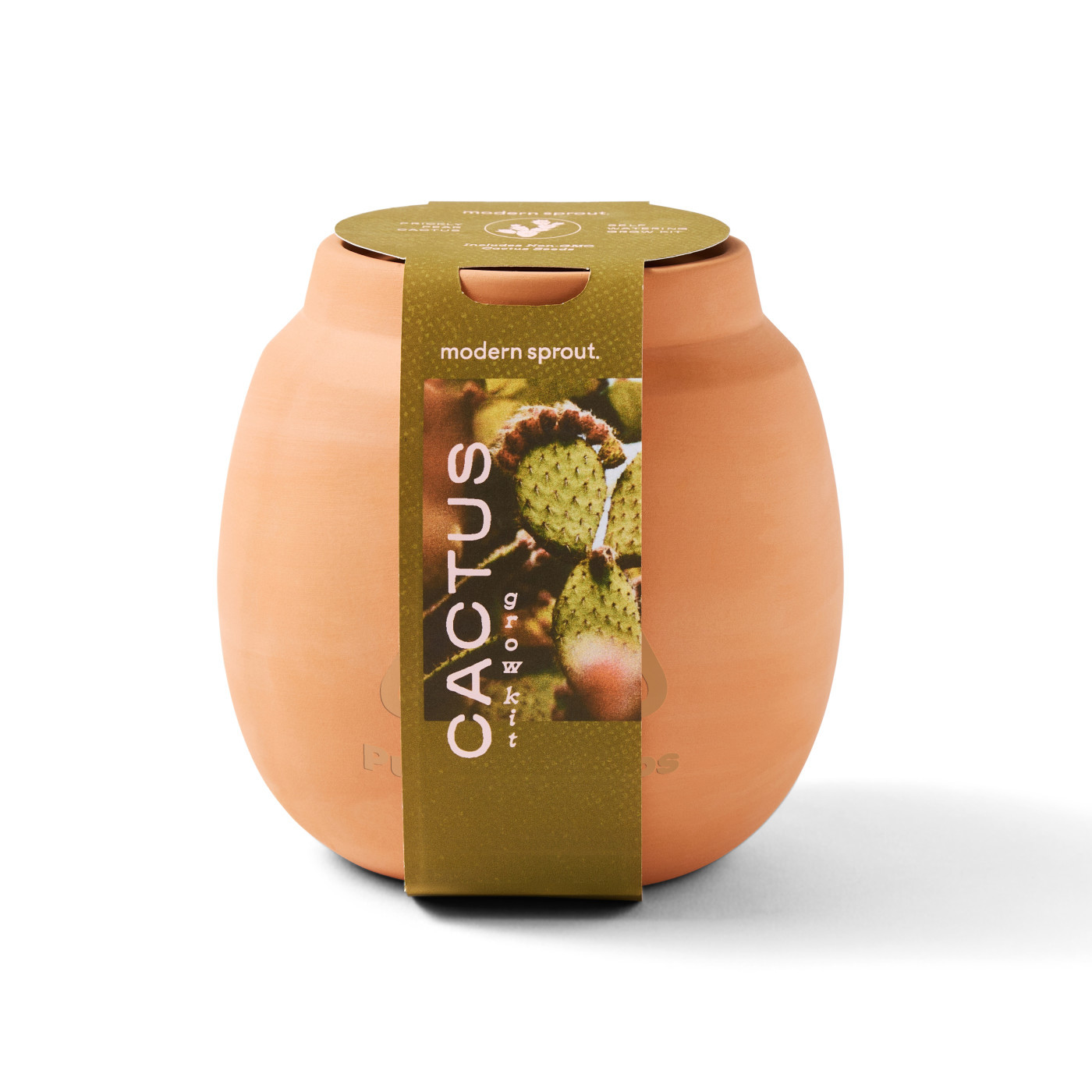 Modern Sprout® Modern Terracotta Cactus Grow Kit Product Image