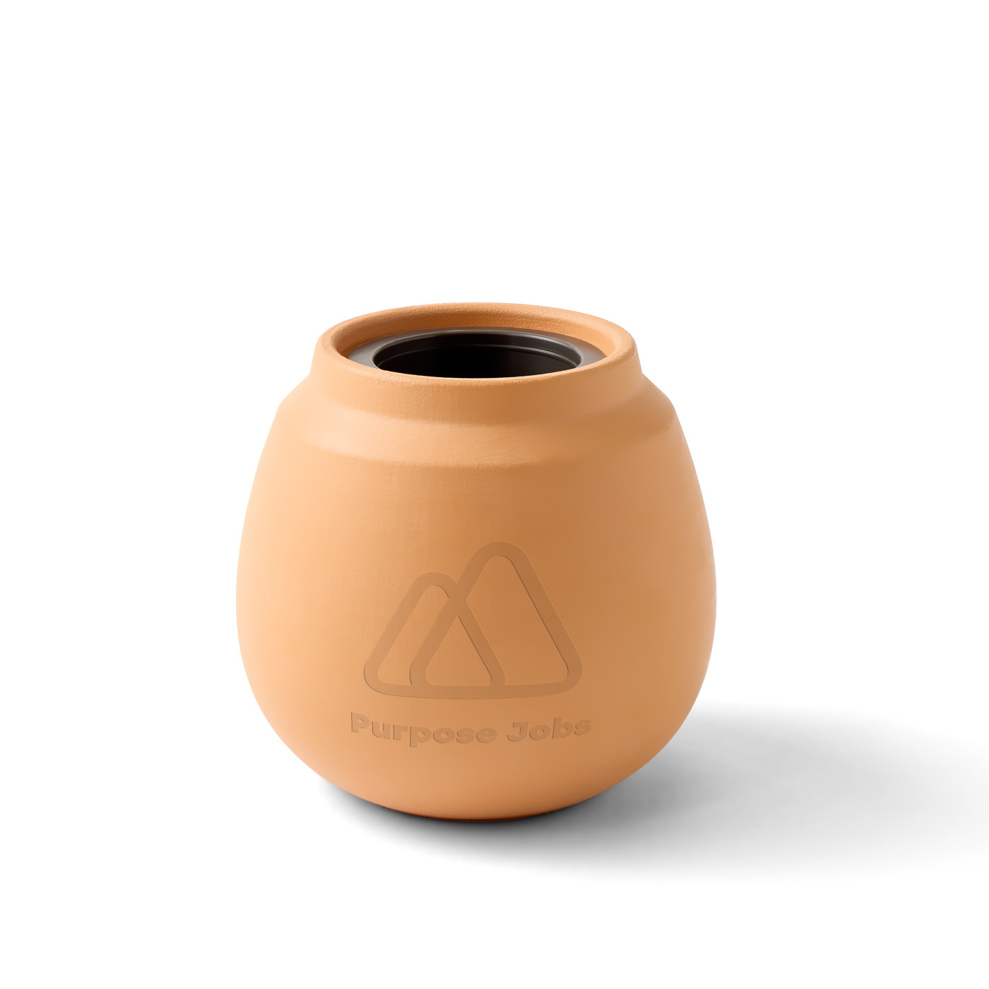 Modern Sprout® Modern Terracotta Cactus Grow Kit Product Image