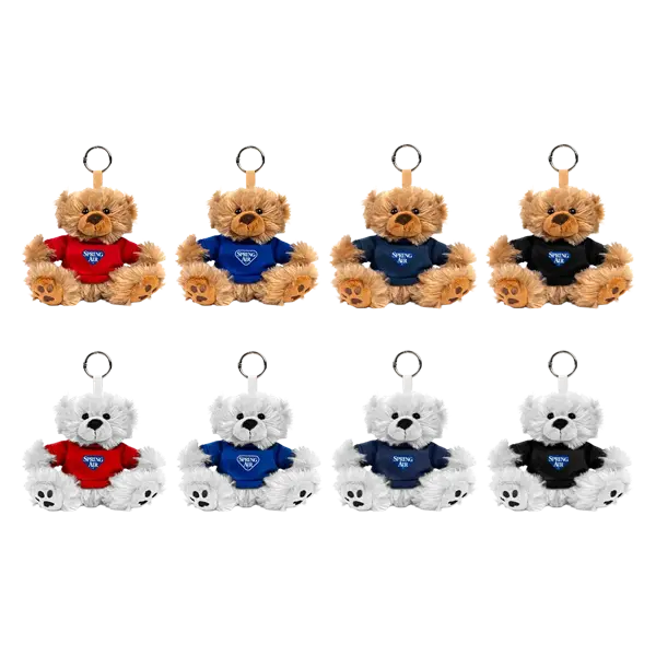 Paws 5" Teddy Bear with Keyring Product Image