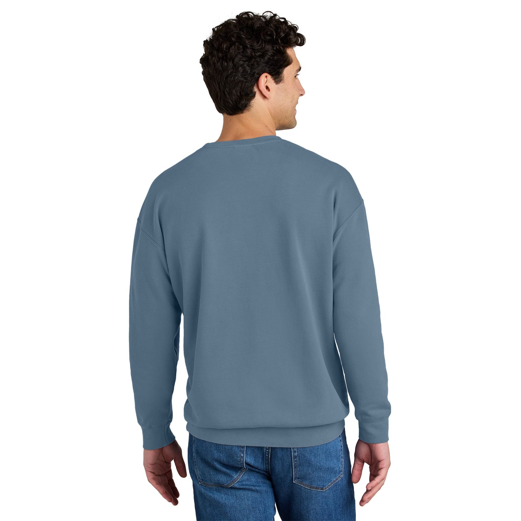 Comfort Colors Lightweight Crewneck Sweatshirt Product Image