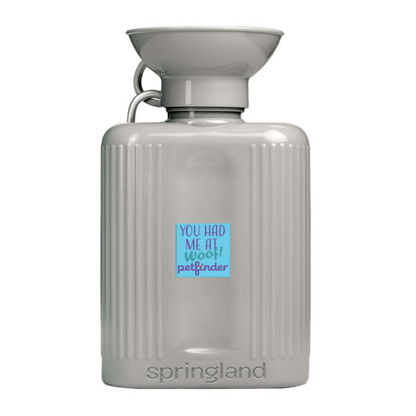 Springland Pet Growler Travel Water Bottle - 44 oz. Product Image