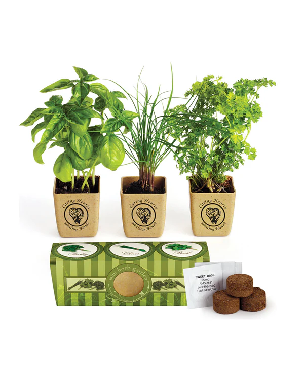 Grow Pot Eco-Planter Herb 3-Pack Product Image