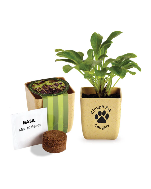 Flower Pot Set With Basil Seeds Product Image