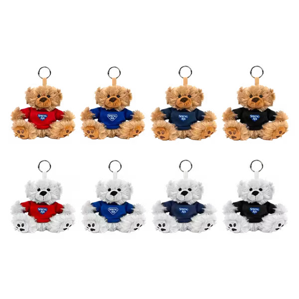 Paws 5" Teddy Bear with Keyring Product Image