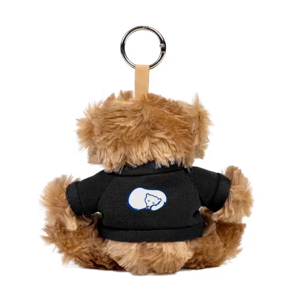 Paws 5" Teddy Bear with Keyring Product Image