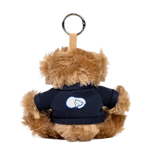 Paws 5" Teddy Bear with Keyring Product Image