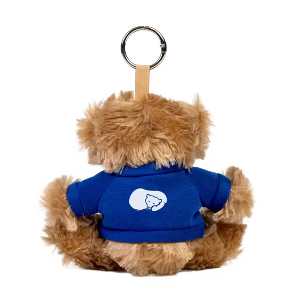 Paws 5" Teddy Bear with Keyring Product Image