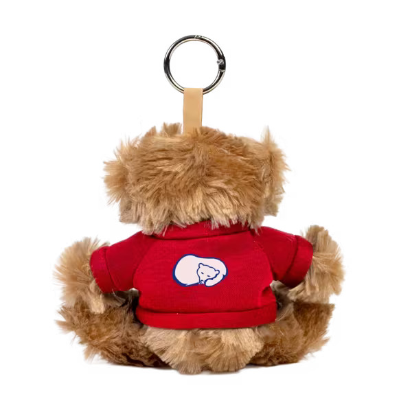 Paws 5" Teddy Bear with Keyring Product Image