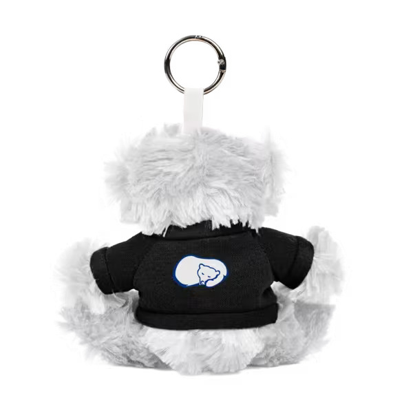 Paws 5" Teddy Bear with Keyring Product Image